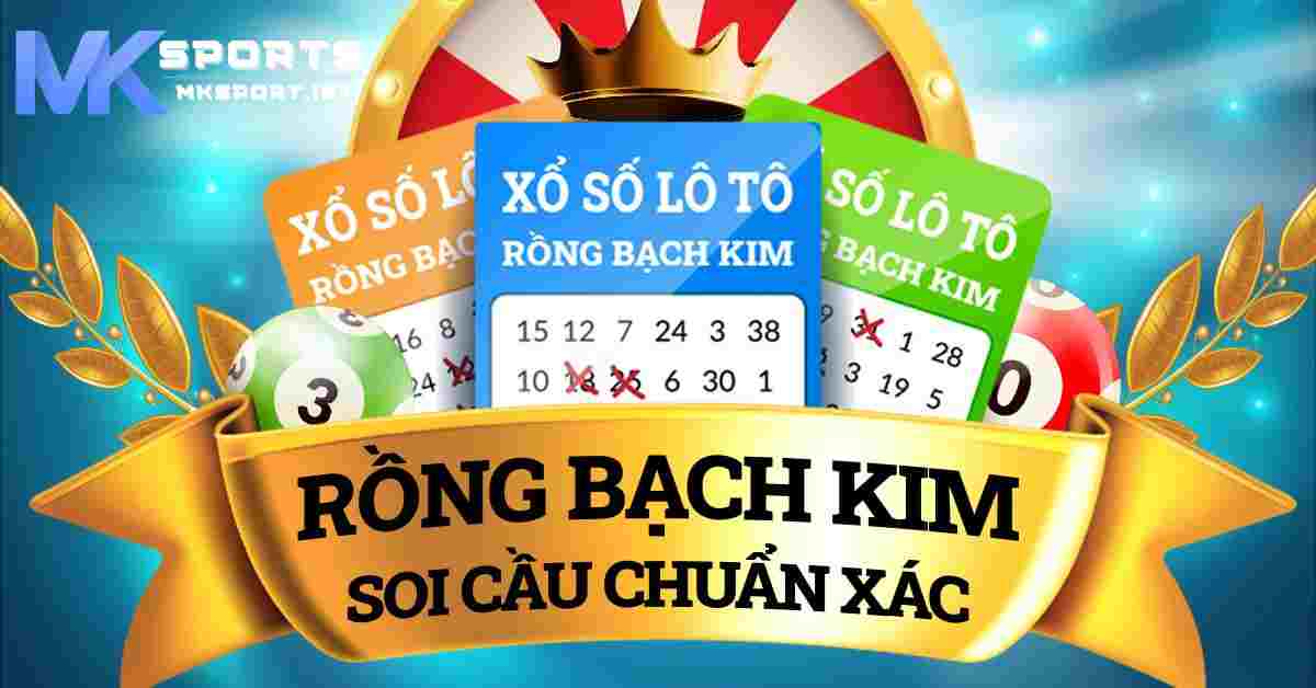 Giới thiệu về công cụ soi cầu rồng bạch kim MKsport